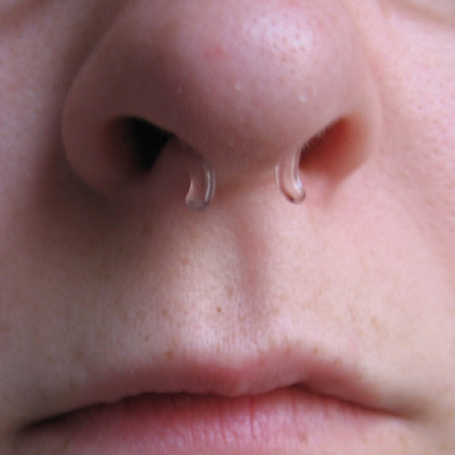 Pyrex septum retainer 12g Clear